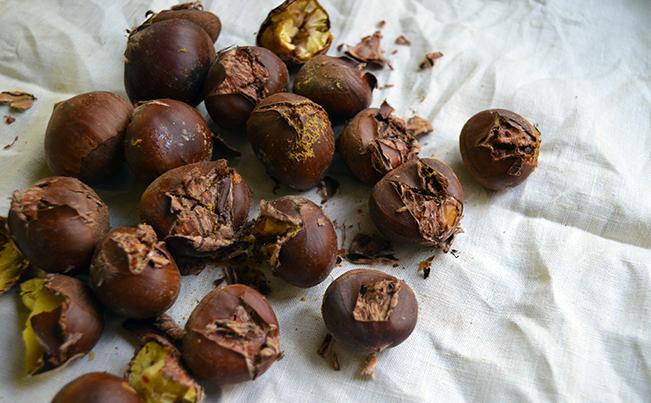roasted-chestnuts-towel